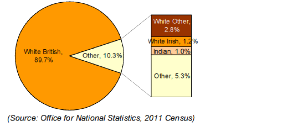 Pie chart showing ethnic diversity in Central Bedfordshire