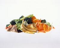 Food waste recycling
