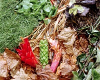 Garden waste recycling