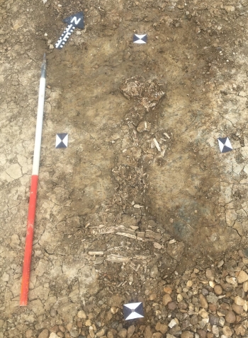 Archeology Houstone School