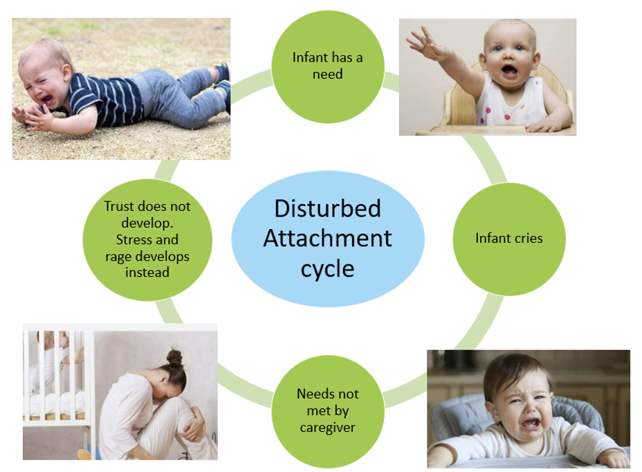 Disturbed attachment cycle