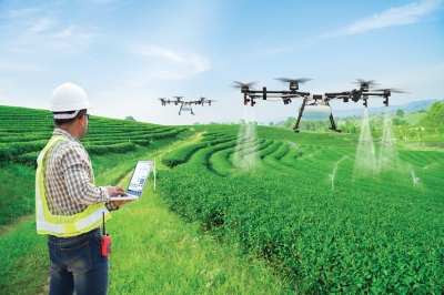 A worker monitors two agricultural drones spraying crops across a lush, green, terraced field using a laptop.