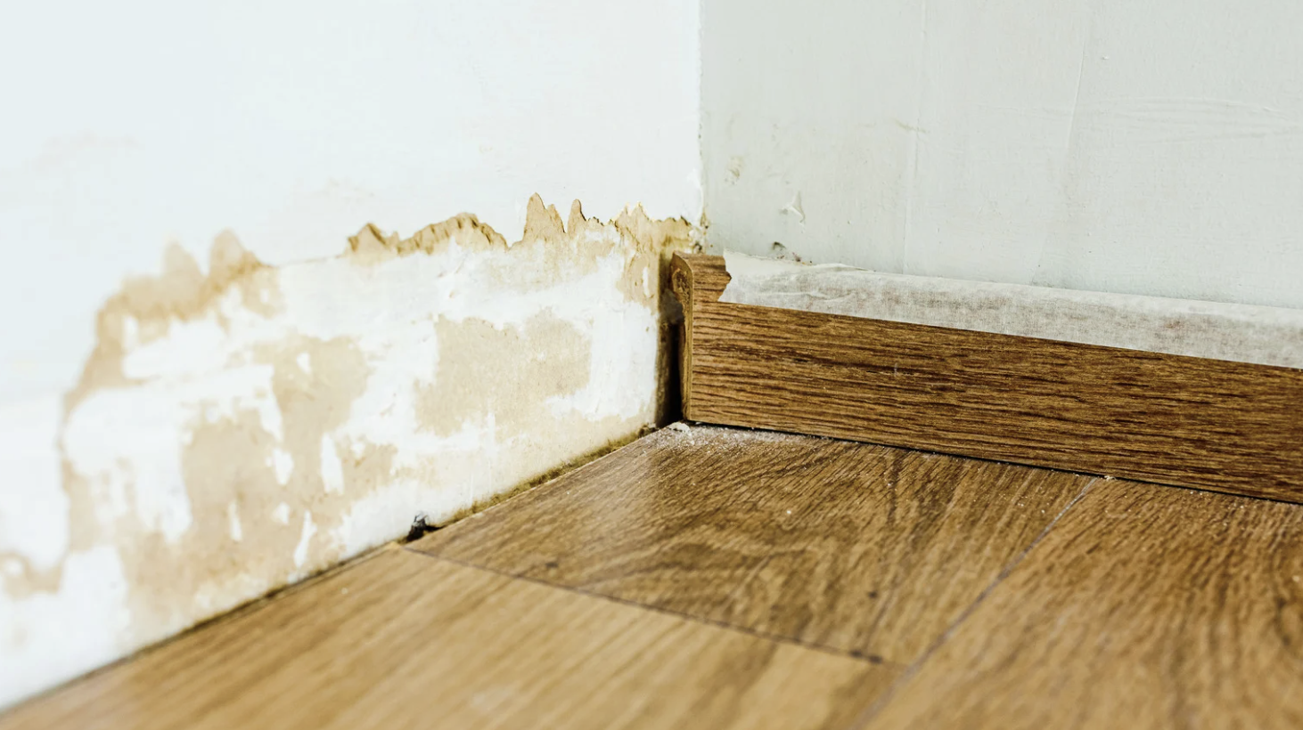 Housing Matters October 2025 damp and mould
