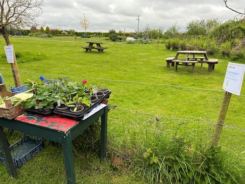 Dunton gardens
