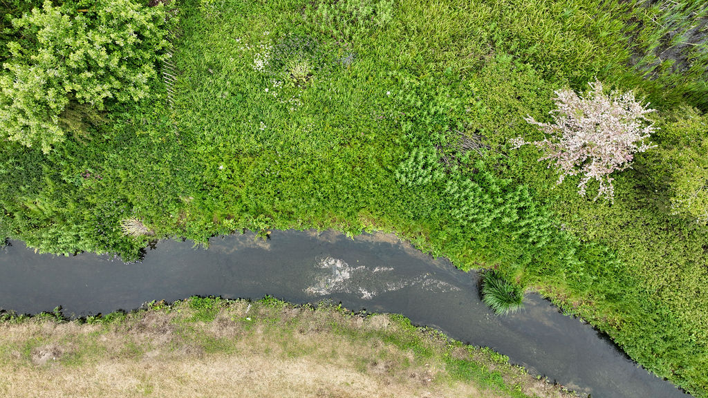 Aerial photo of a river