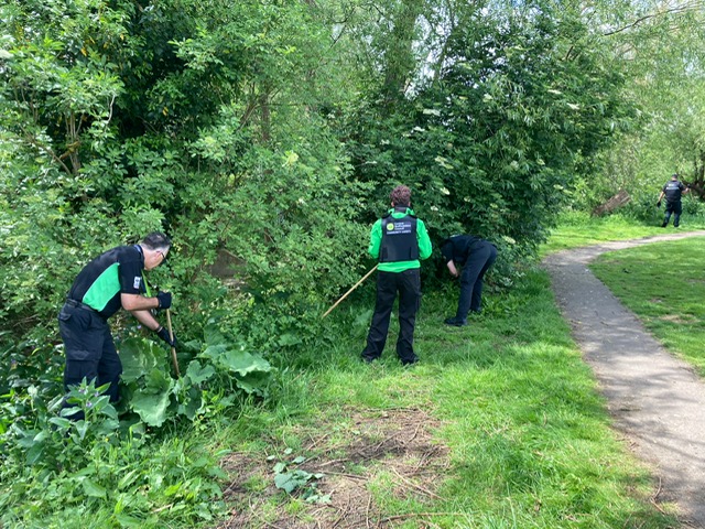 The Community Safety Team carry out a weapons sweep to look for weapons that have been discarded, or hidden for future use