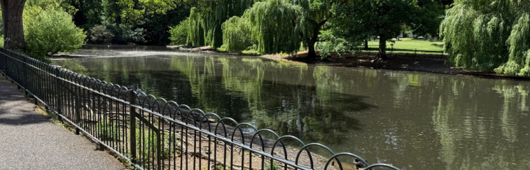 River in Central Bedfordshire with trees in the background and a metal fence and footpath in the foreground